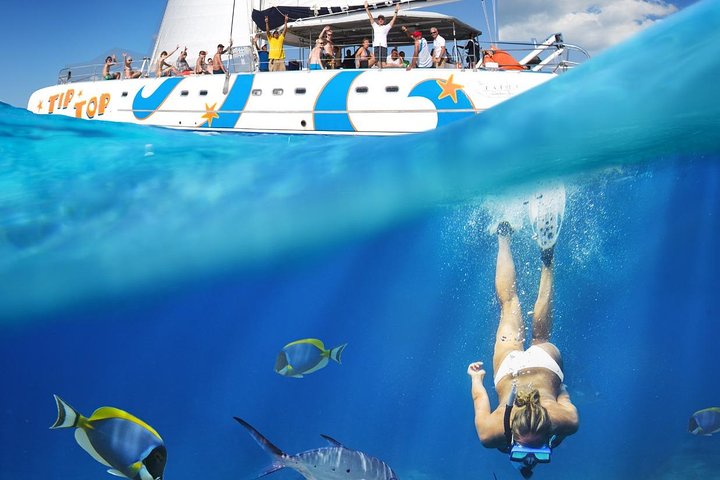 Tip Top Catamaran - Image 3
