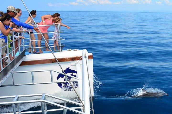 All Inclusive Catamaran Eco Adventure from Manuel Antonio - Image 2