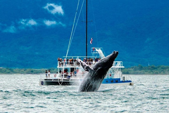 All Inclusive Catamaran Eco Adventure from Manuel Antonio - Image 1