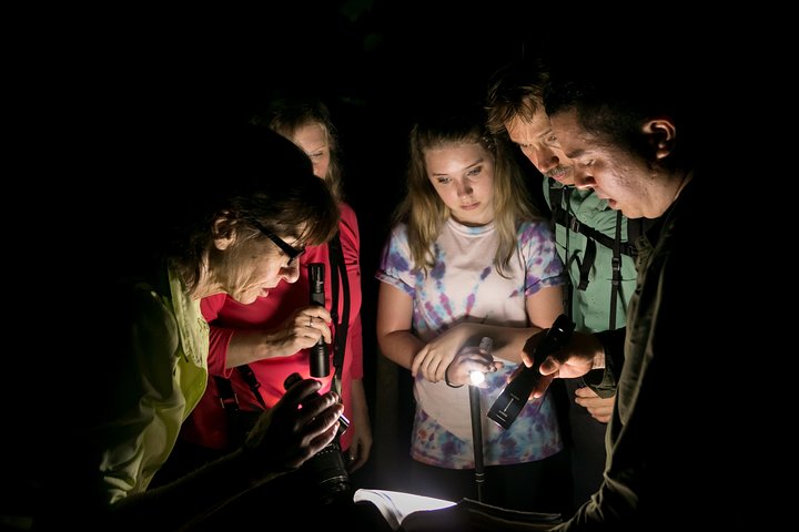 All-Inclusive Jungle Night Tour - Image 1