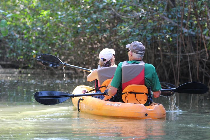 Damas Island Kayaking Mangrove Tour from Manuel Antonio - Image 3