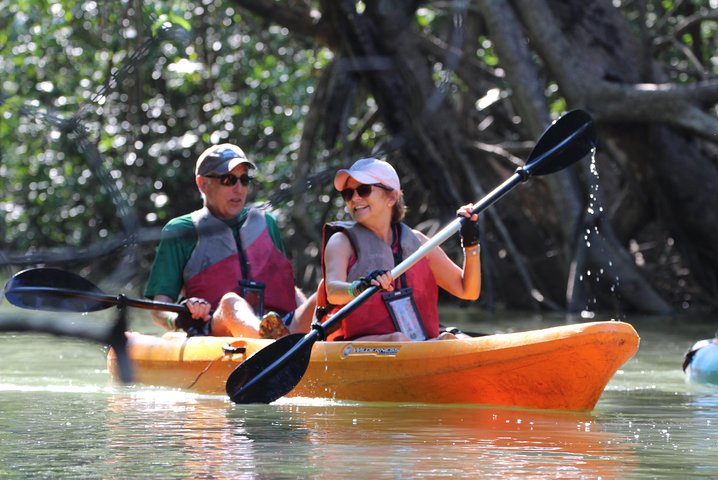 Damas Island Kayaking Mangrove Tour from Manuel Antonio - Image 1