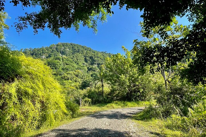 Esquipulas Rainforest Reserve, fully customizable Birding Tour. - Image 3
