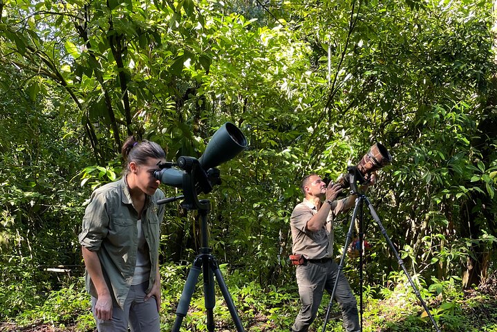 Esquipulas Rainforest Reserve, fully customizable Birding Tour. - Image 4