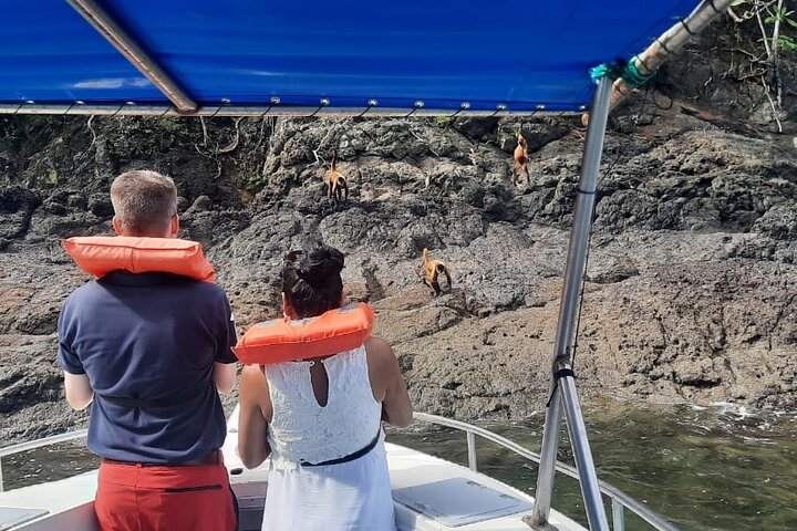 Isla Tortuga Adventure tour - from Jaco - Image 2