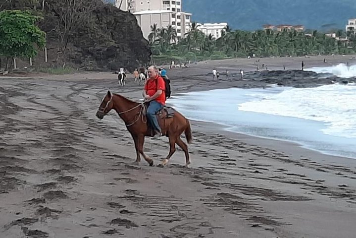 Jacó beach horseback riding experience  - Image 5