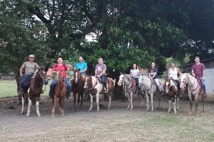Jacó beach horseback riding experience  - Image 4