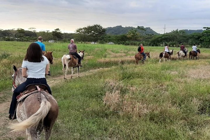 Jacó beach horseback riding experience  - Image 3