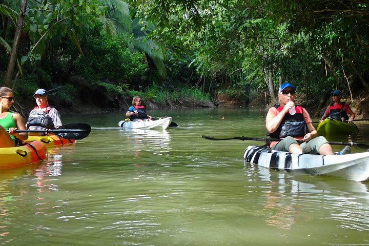Mangrove Kayak Tour  - Image 2