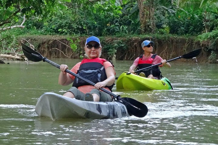 Mangrove Kayak Tour  - Image 4