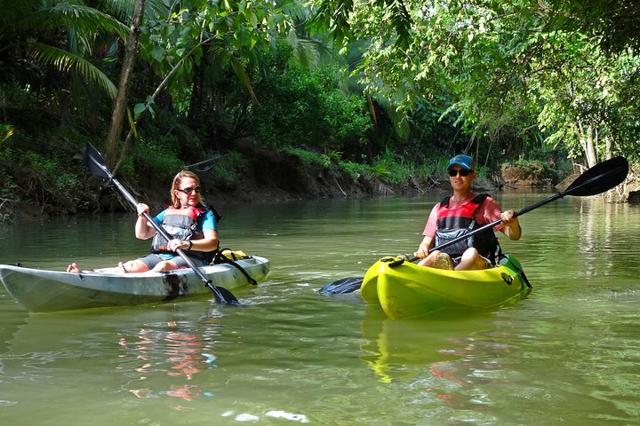 Mangrove Kayak Tour  - Image 1