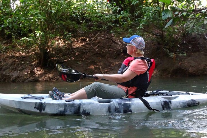 Mangrove Kayak Tour  - Image 3
