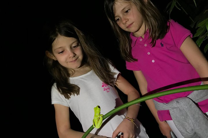 Manuel Antonio Herping Tour (Reptile & Amphibian) - Image 5