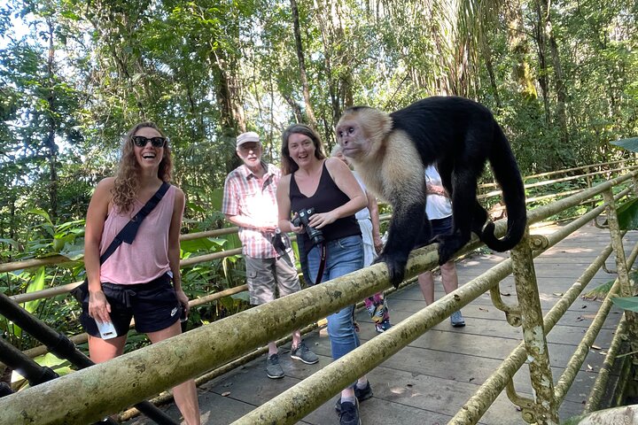 Manuel Antonio National Park - ALL INCLUSIVE TOUR - Image 3