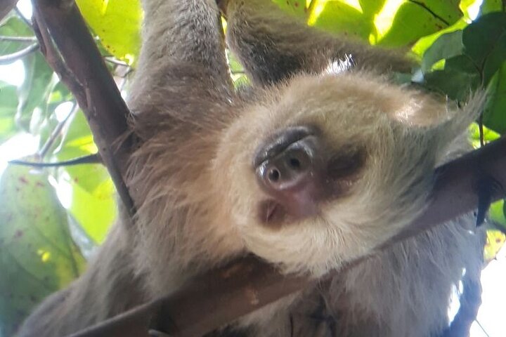 Manuel Antonio National Park Hiking Guided Tour - Image 5