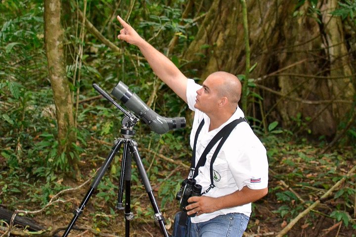Manuel Antonio Park Nature Guided Tour - Image 3