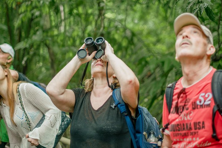 Private Manuel Antonio Park Tour - Image 5