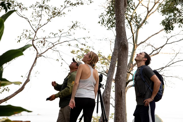 Quepos Point Nature Trails. Wildlife, Hiking, and Ocean Views Experience. - Image 4