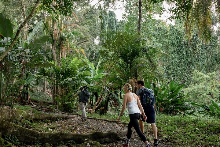 Quepos Point Nature Trails. Wildlife, Hiking, and Ocean Views Experience. - Image 1