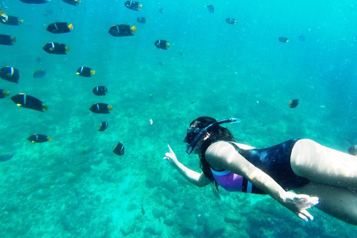 4 hrs Private trip: snorkeling at Los Arcos and Colomitos - Image 3