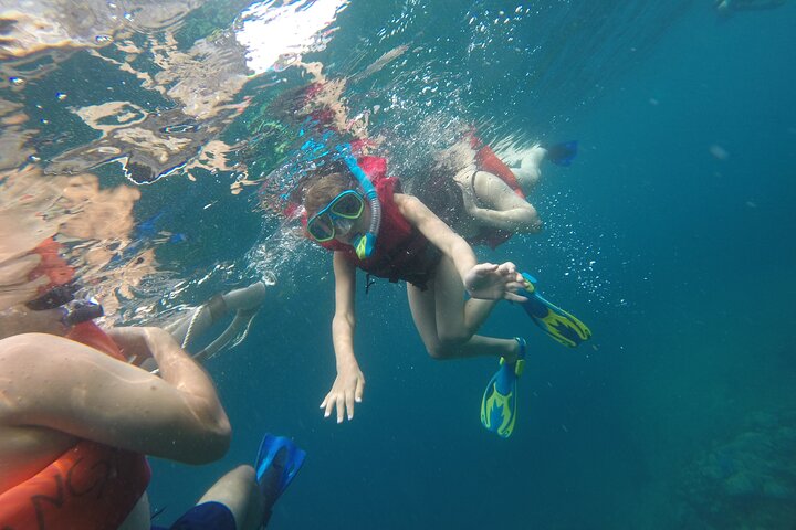 4 hrs Private trip: snorkeling at Los Arcos and Colomitos - Image 2