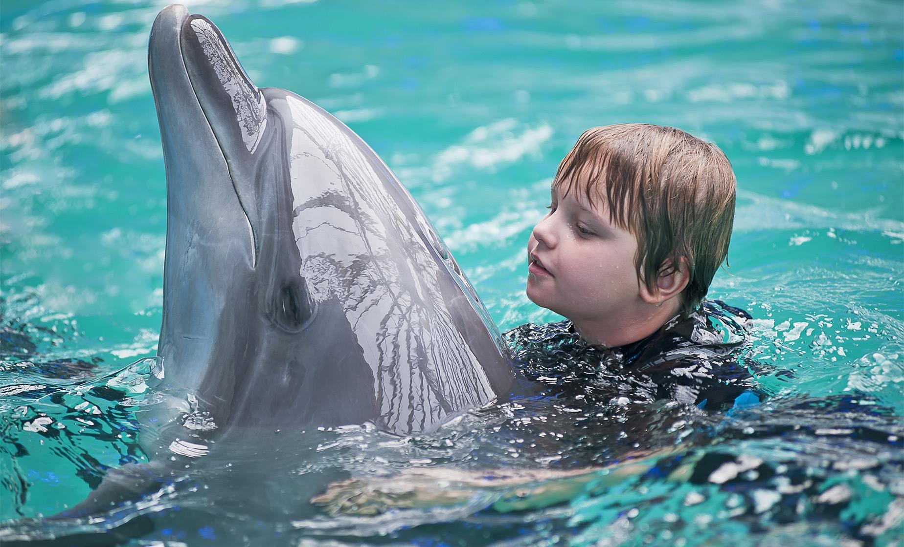 Dolphin Adventure Swim and Water Park - Image 1