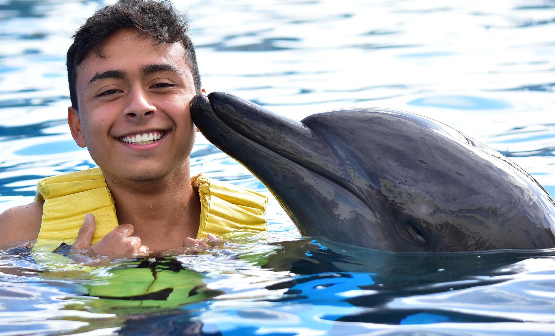 Dolphin Encounter and Water Park - Image 1