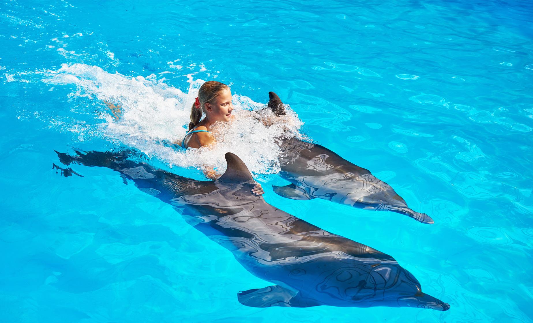 Dolphin Royal Swim and Water Park - Image 1