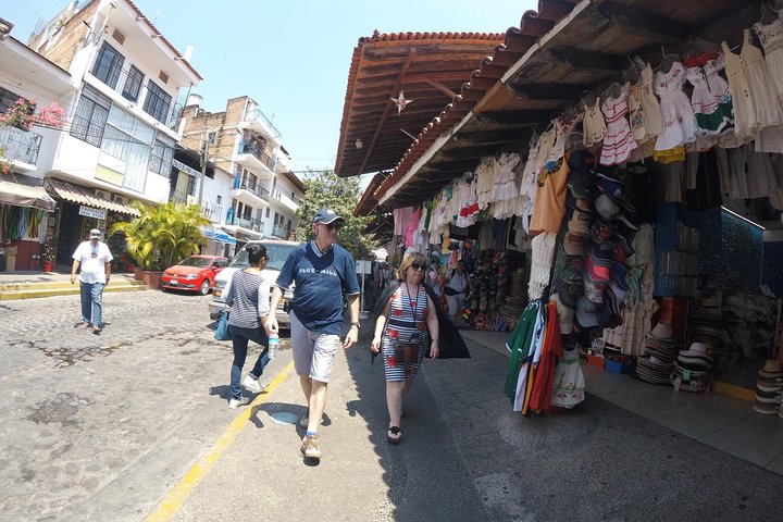 Educational and fun Private City tour- Puerto Vallarta - Image 3