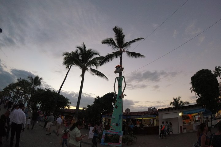 Educational and fun Private City tour- Puerto Vallarta - Image 4