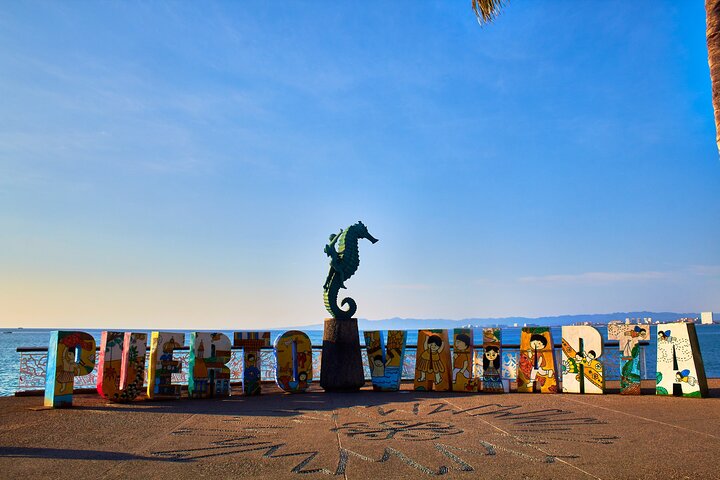 Full Day Private Shore Tour in Puerto Vallarta from Vallarta Port - Image 5