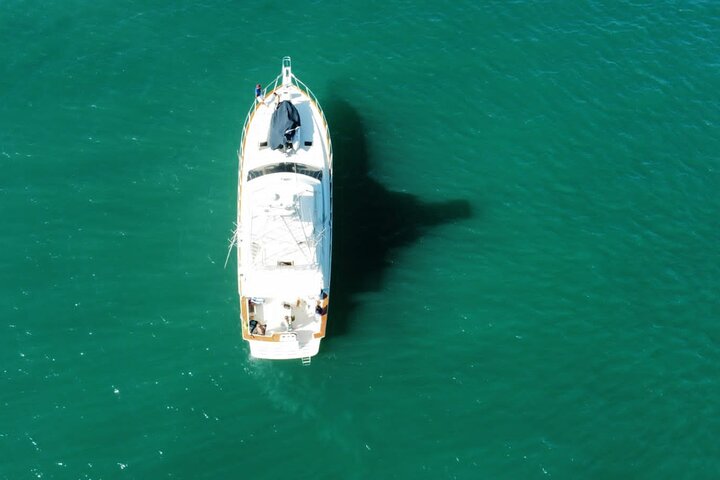 Full-Day Private Sport Fishing Luxury Yacht Cruise - Image 2