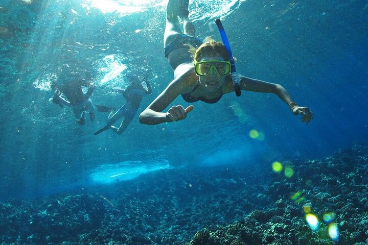 Full Day Tour Isla Marietas with Meals and Open Bar - Image 5