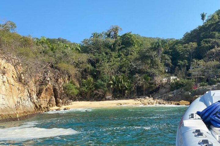 Half Day Snorkeling in Puerto Vallarta by Speedboat - Image 3