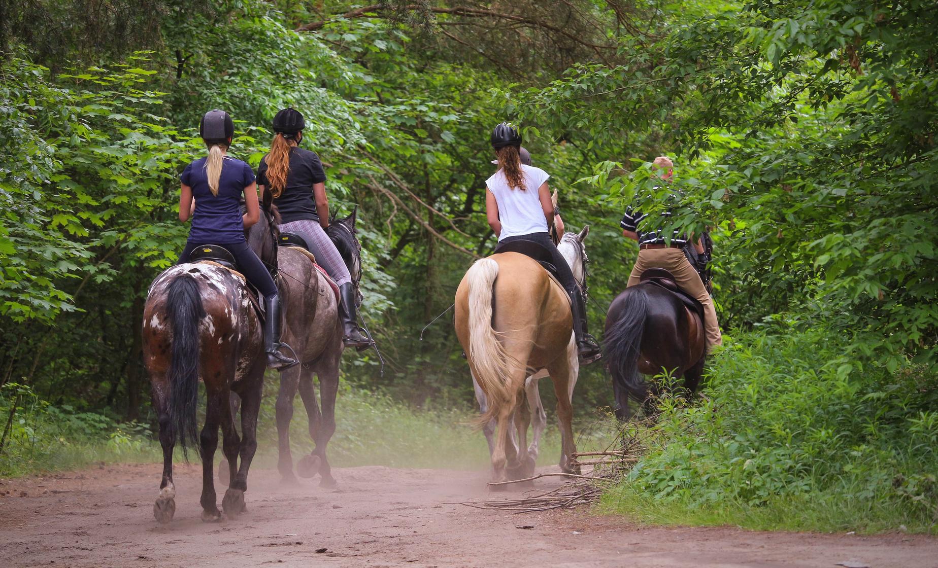 Horseback, River Swim and Tequila Tasting - Image 1
