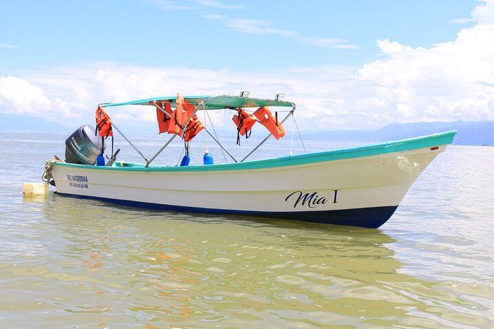 Private Boat Tour to Yelapa and Majahuitas Snorkel (up to 7 guests) - Image 3
