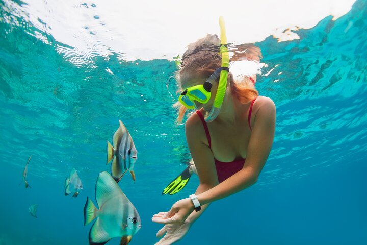 Private Boat Tour to Yelapa and Majahuitas Snorkel (up to 7 guests) - Image 5