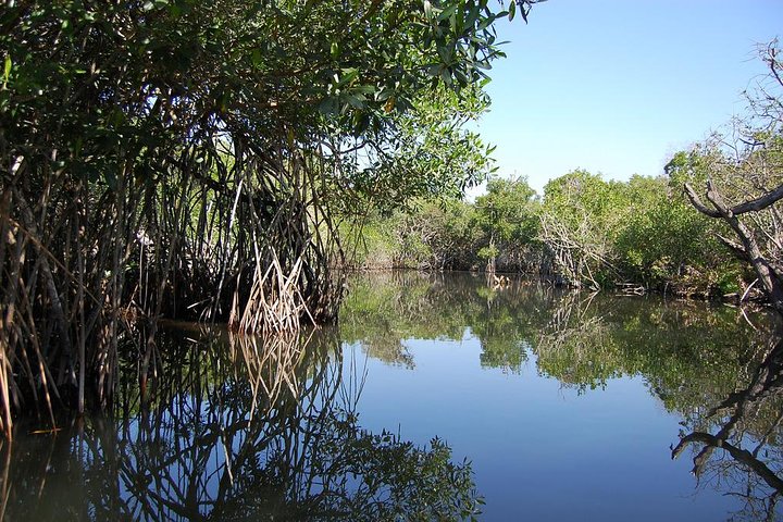 Private group tour for up to 10 passengers: San Blas and La Tovara - Image 1