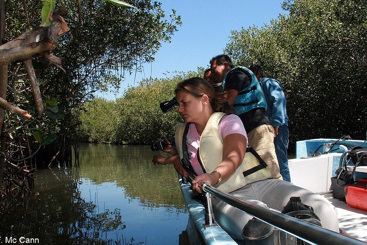 Private group tour for up to 10 passengers: San Blas and La Tovara - Image 2