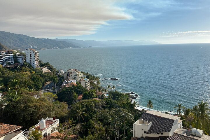 Private Tour of Puerto Vallarta and the Subtropical Forest - Image 3