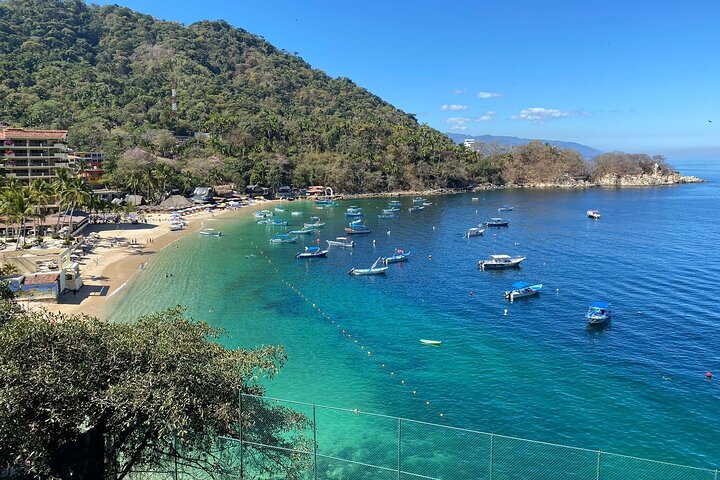 Private Tour of Puerto Vallarta and the Subtropical Forest - Image 4