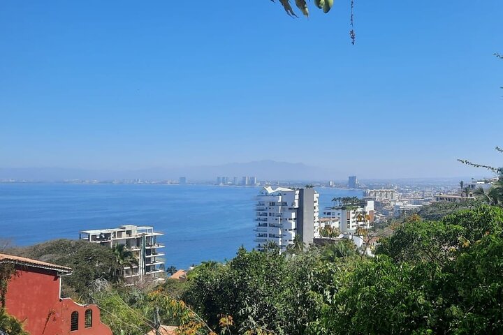 Private Tour of Puerto Vallarta and the Subtropical Forest - Image 2