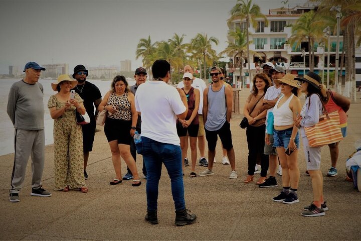 Private Tour of Puerto Vallarta and the Subtropical Forest - Image 1