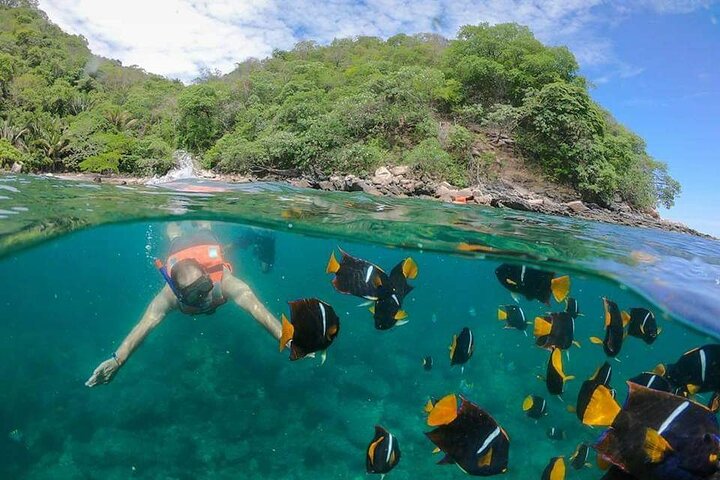 private tour snorkeling the arcos de mismaloya - Image 1