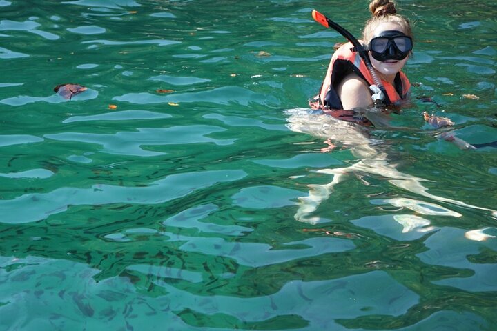 private tour snorkeling the arcos de mismaloya - Image 5