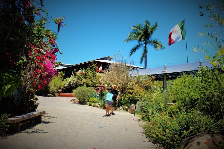 Vallarta Botanical Garden and Tequila Tasting from Puerto Vallarta - Image 3
