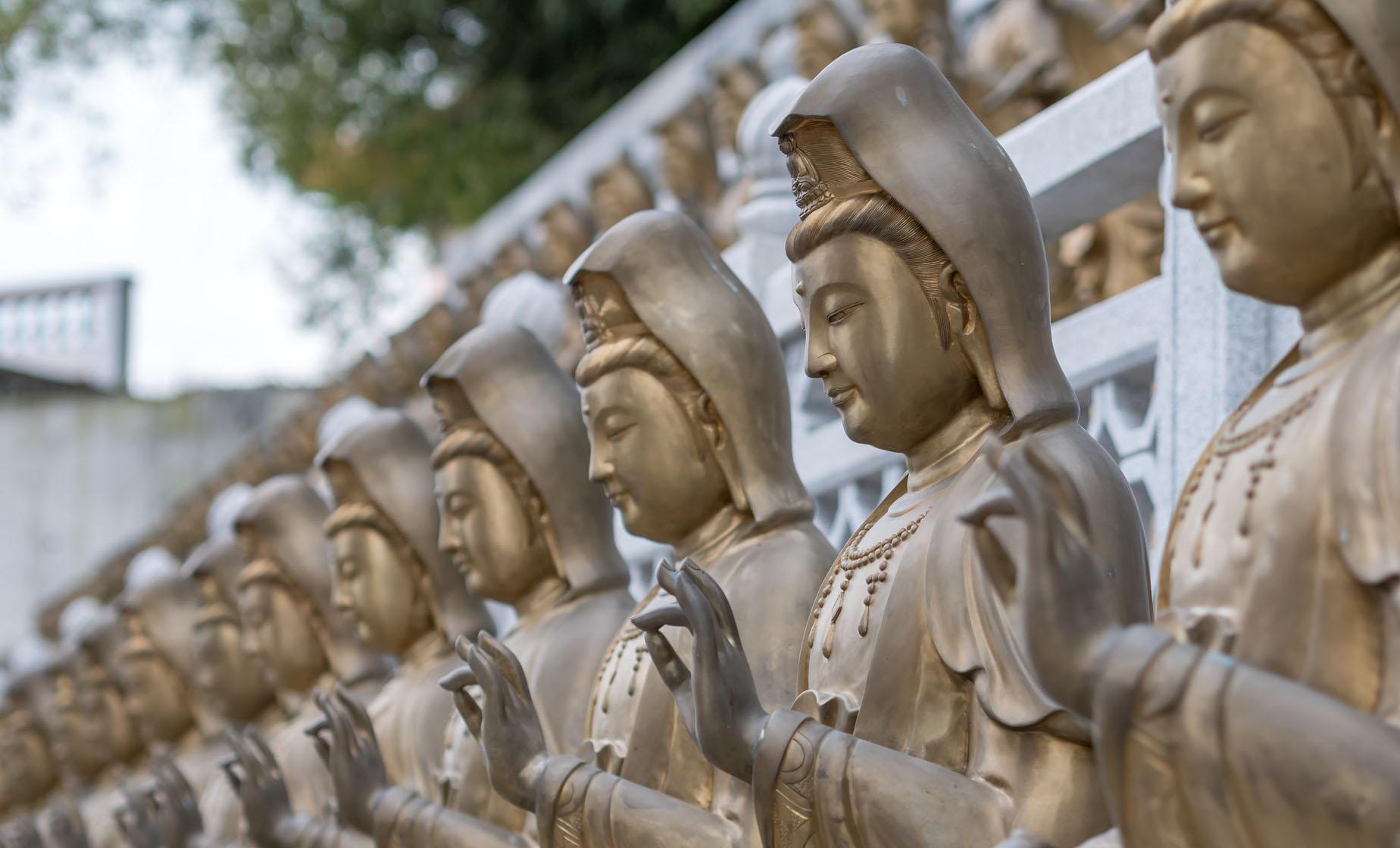 Exploring Penang - Image 1
