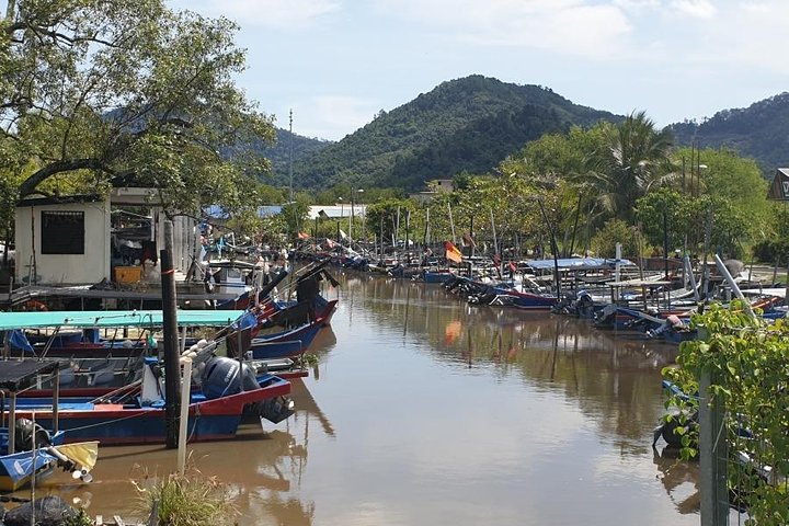 Penang Island Food & Heritage Leisure Tour - Image 5