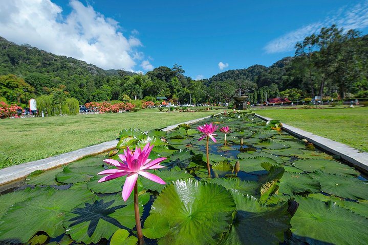 Penang Nature Tour with Penang Hill(Fast Lane), Kek Lok Si & Botanical Garden - Image 4