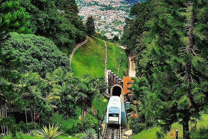 Penang Shore Excursion Day Trip with Temple and Penang Hill Tickets (Fast Lane) - Image 5